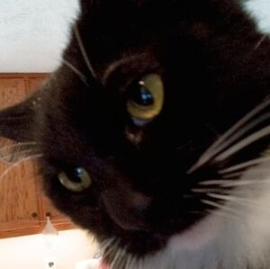 LAST WEEK FOR CERTAIN ITEMS!